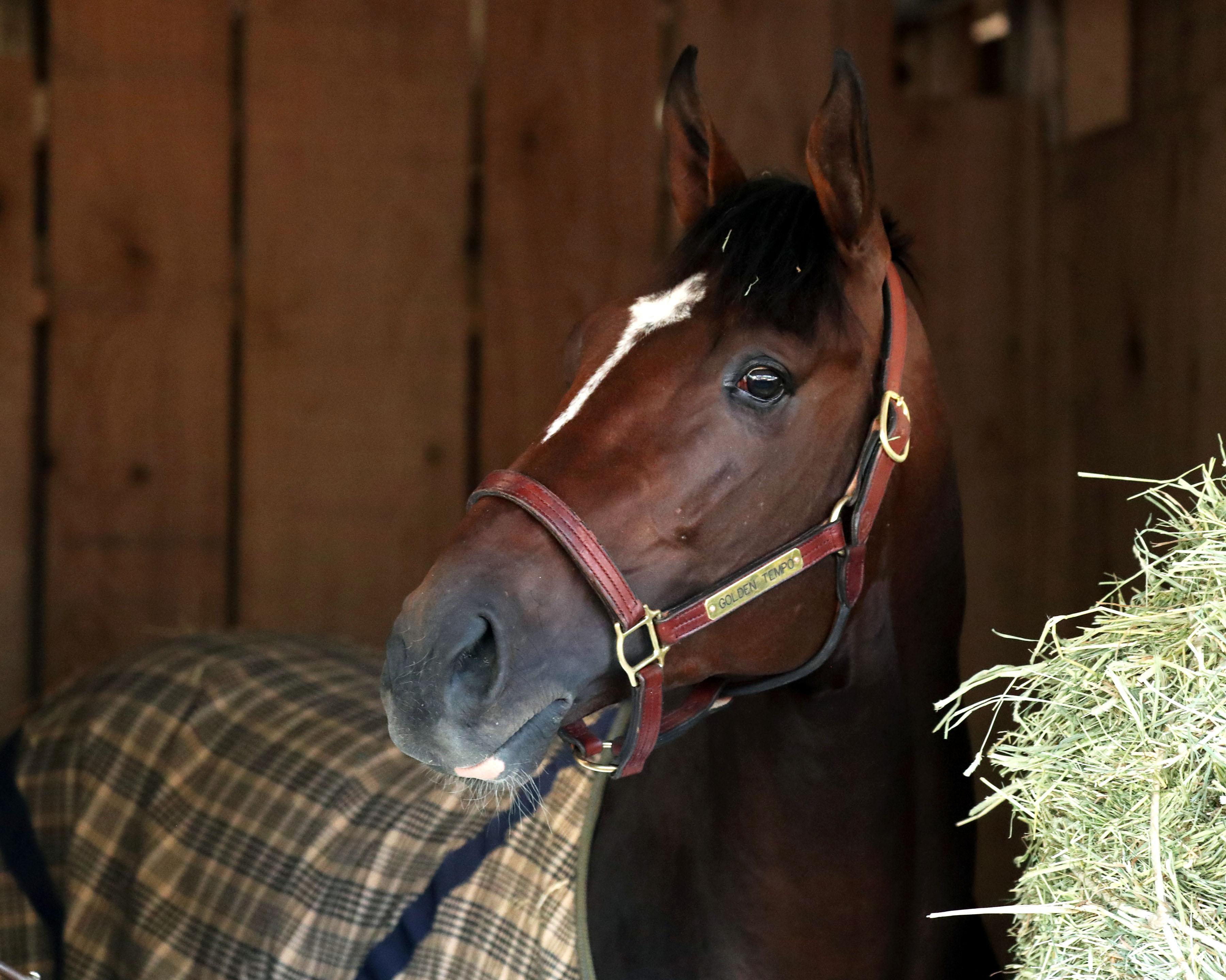 Golden Tempo, Cherie DeVaux, Jose Ortiz, Kentucky Derby, Churchill Downs, horse racing, America's Best Racing, ABR